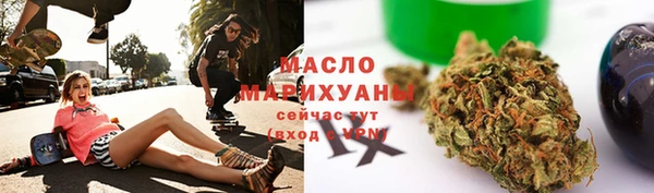 индика Пересвет