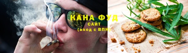 индика Пересвет