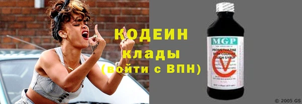 индика Пересвет