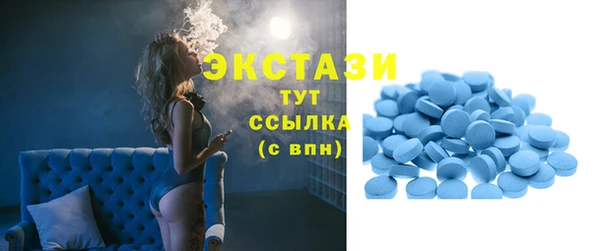 индика Пересвет