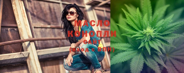 индика Пересвет