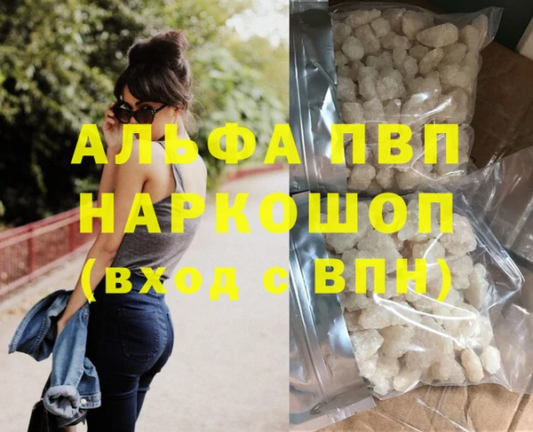 индика Пересвет