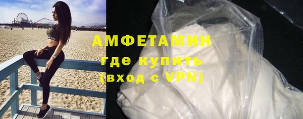 индика Пересвет