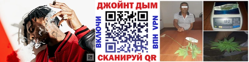 Конопля гибрид  Баймак 